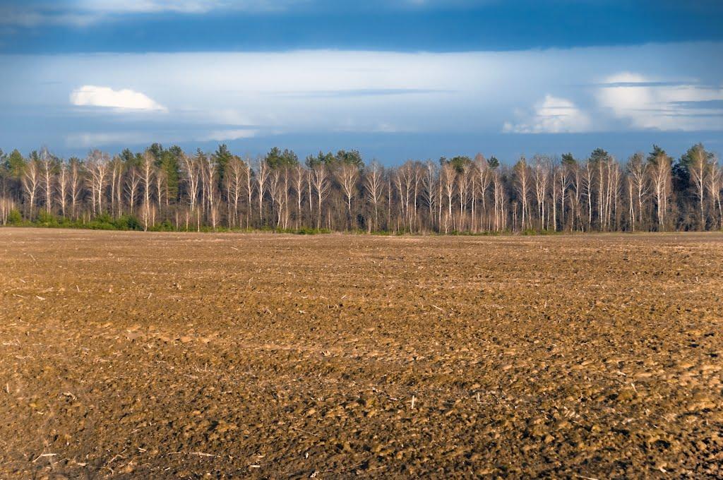 Кархівка з panoramio.com - Кархівка