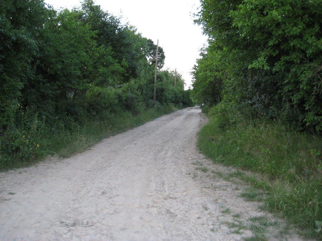 Носківці з panoramio.com - Носківці