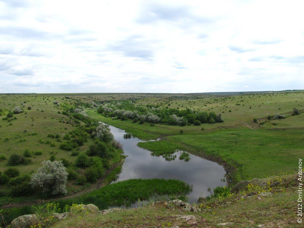 Розанівка з panoramio.com