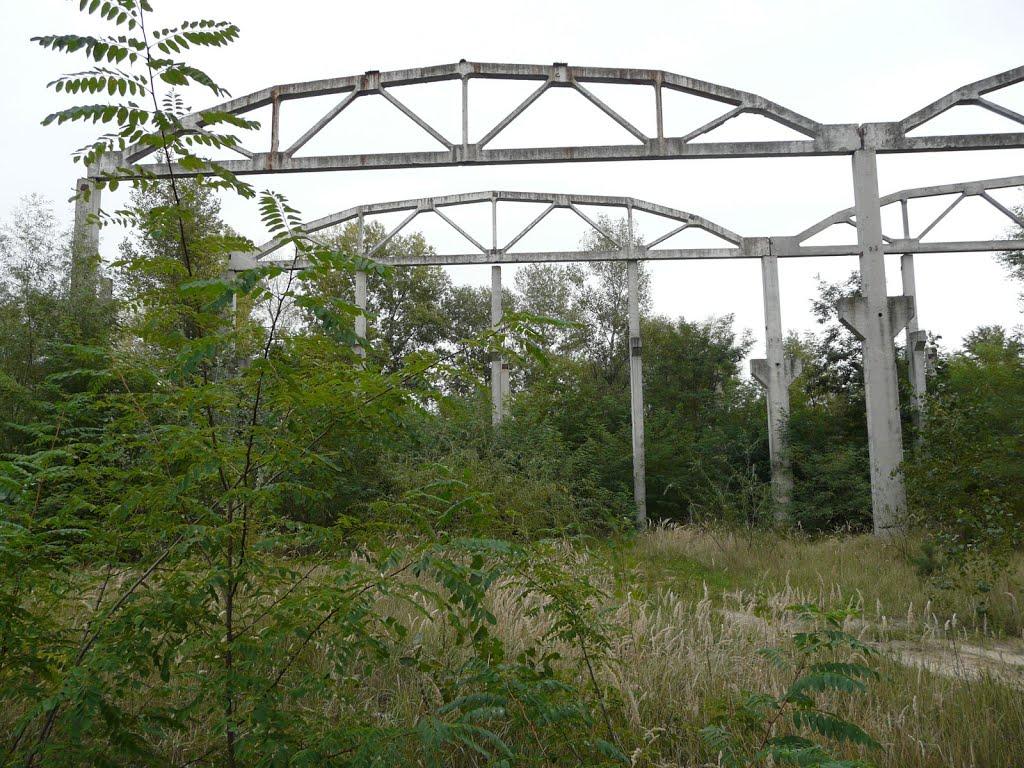 Вітове з panoramio.com - Витово