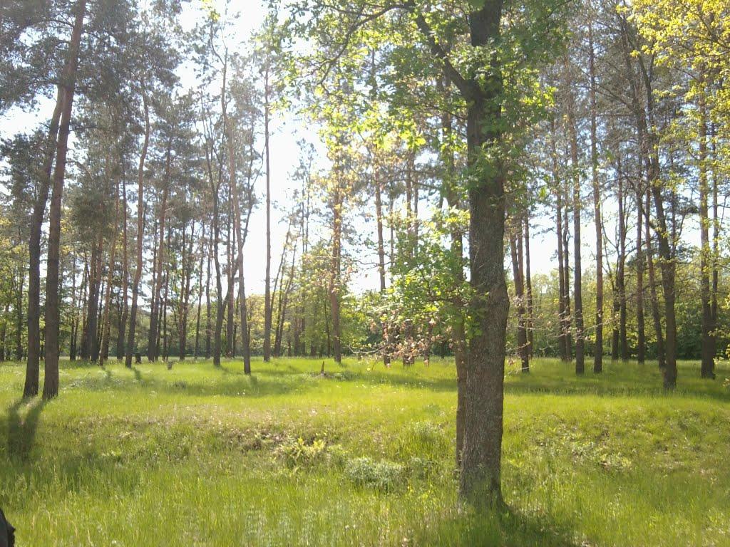 Шостка з panoramio.com - Шостка