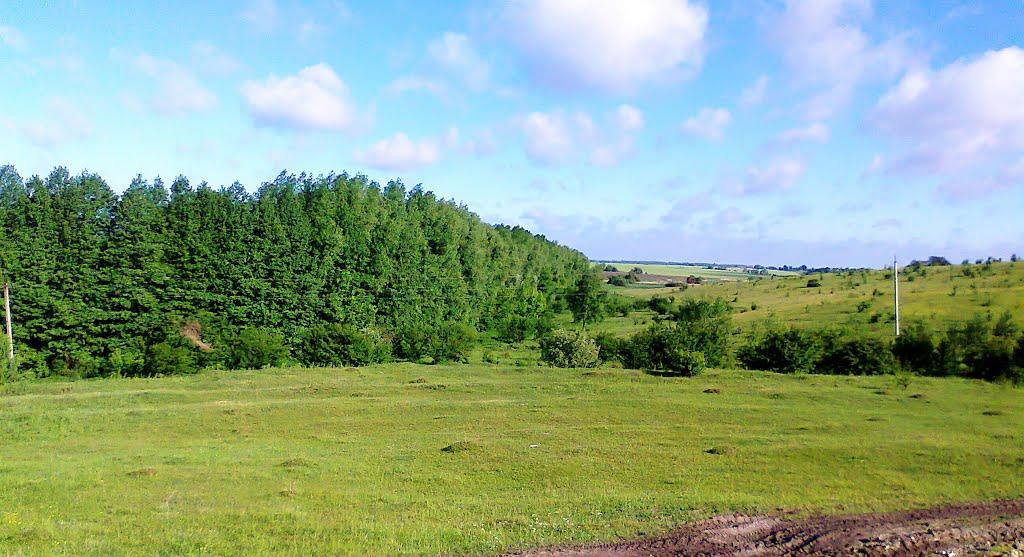 Терехове з panoramio.com - Терехове
