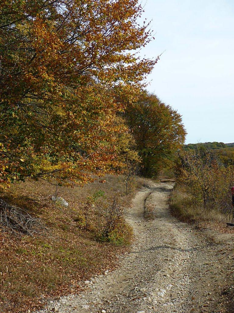 Чайковське з panoramio.com (ч.2) - Чайковское