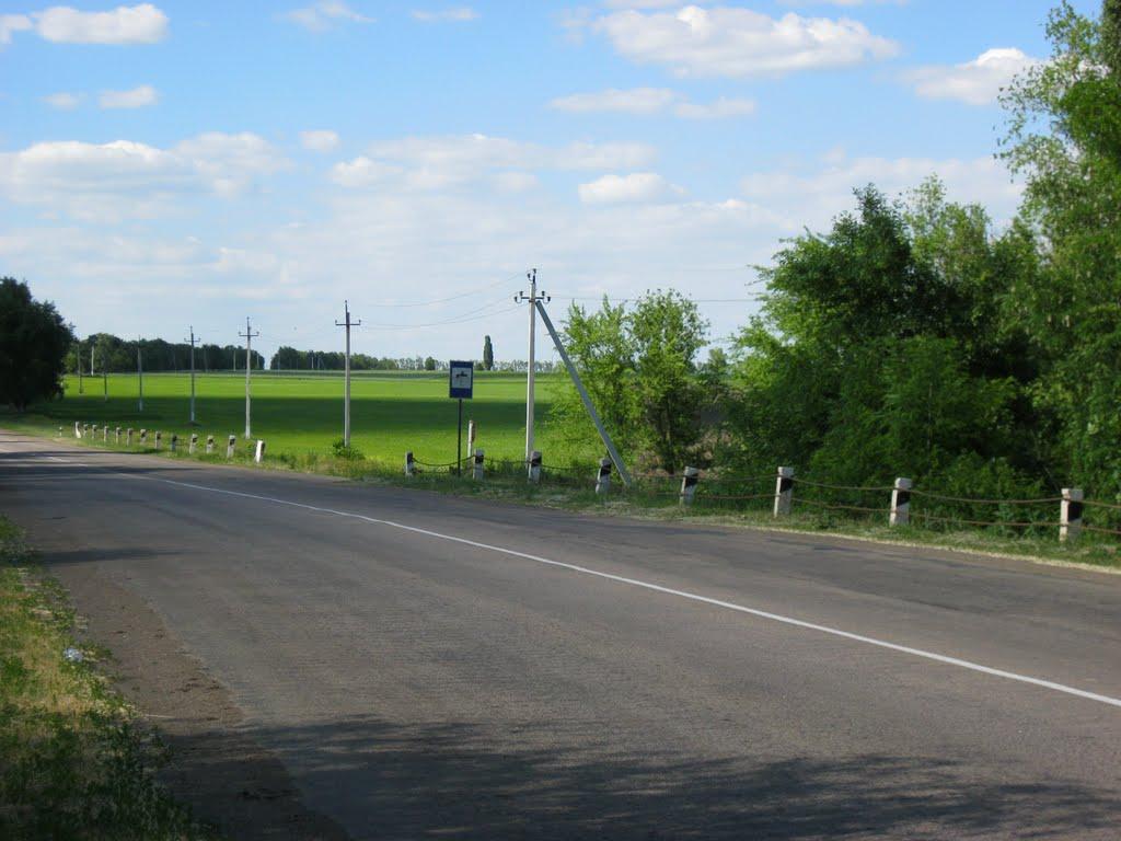 Тельманове з panoramio.com - Тельманове