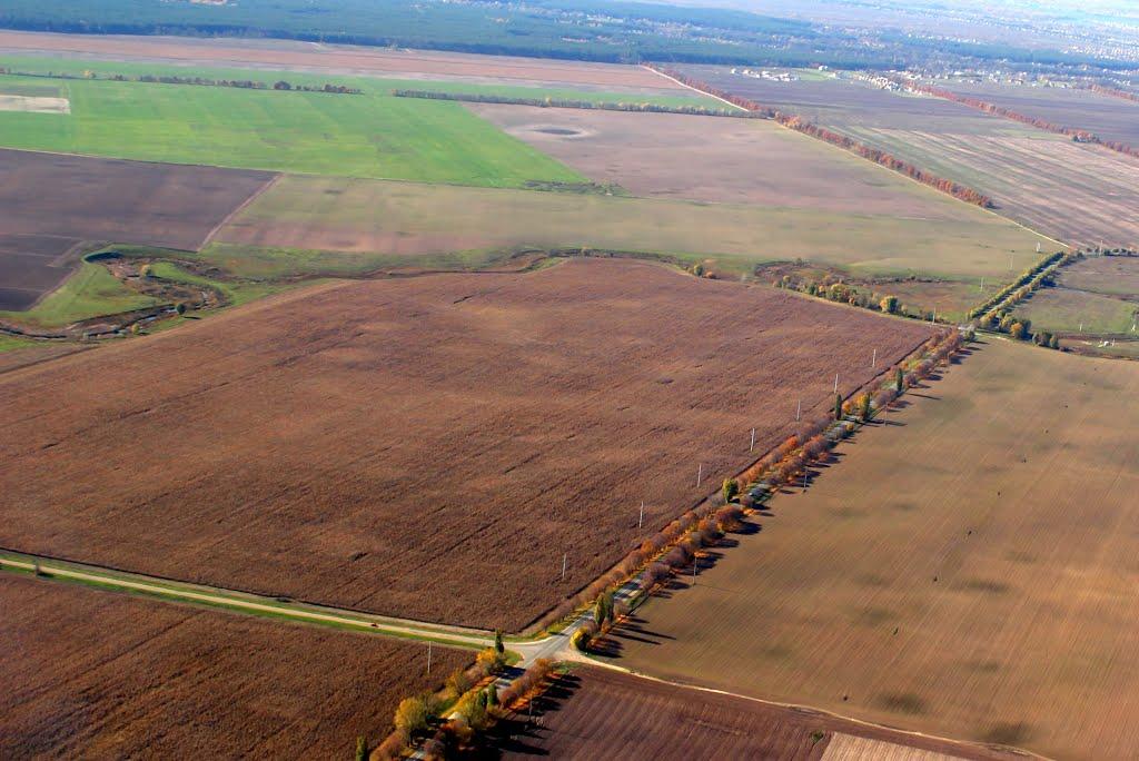 Вороньків з panoramio.com - Voronkiv