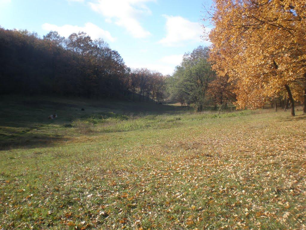 Бабенки з panoramio.com - Бабенки