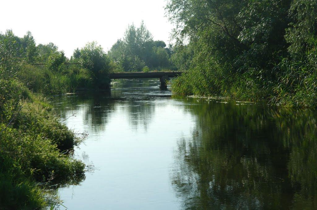 Співаківка з panoramio.com - Співаківка