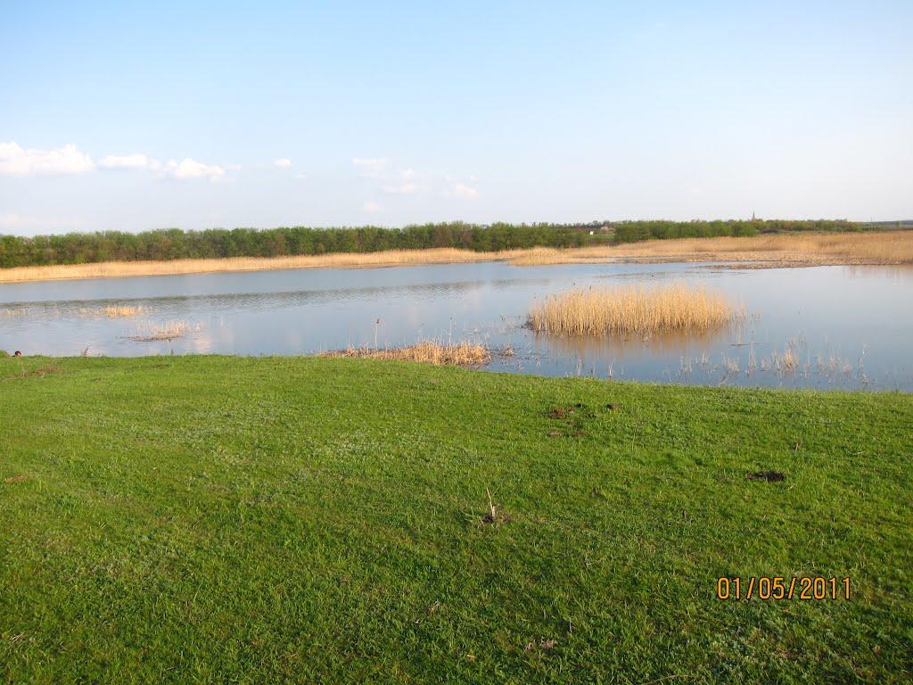 Богданівка з panoramio.com - Богданівка