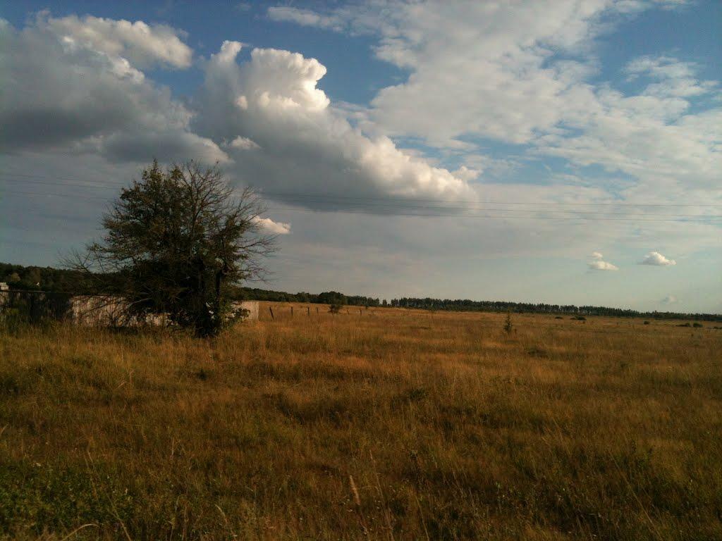 Браженець з panoramio.com - Браженець