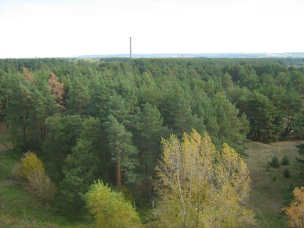 Вітове з panoramio.com - Витово