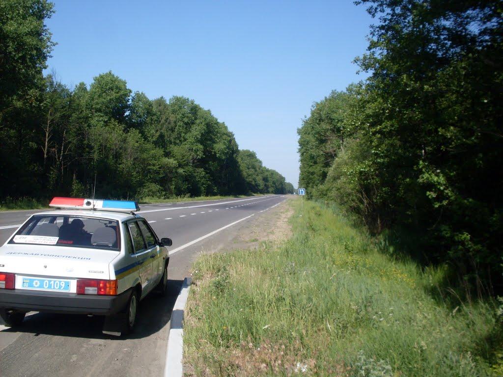 Лісо-Березівка з panoramio.com - Liso-Berezivka