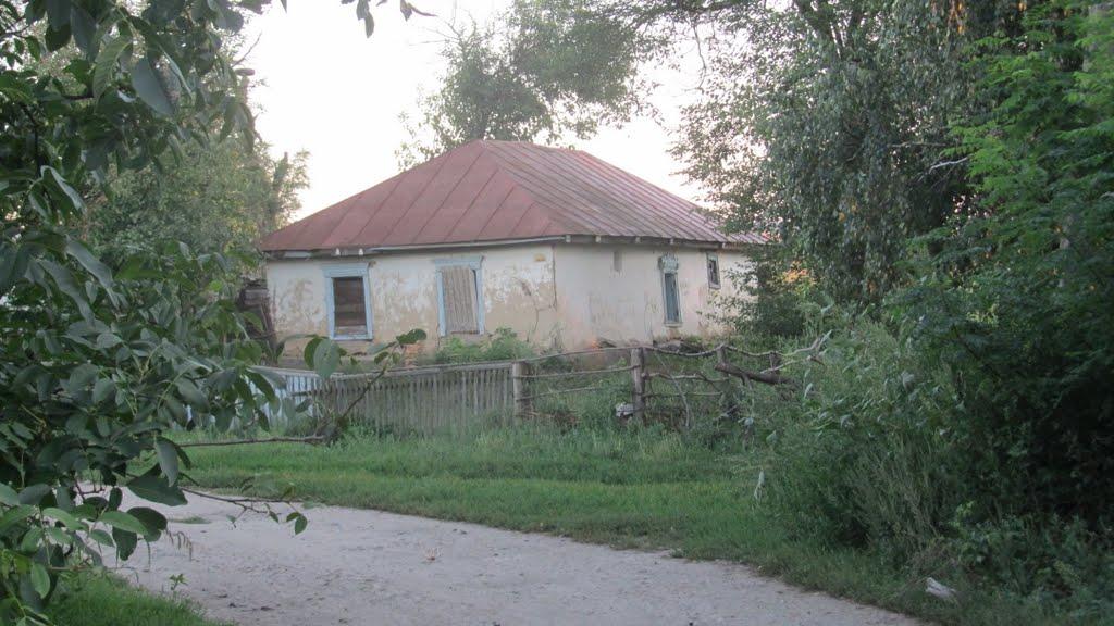 Павлиш з panoramio.com - Павлыш