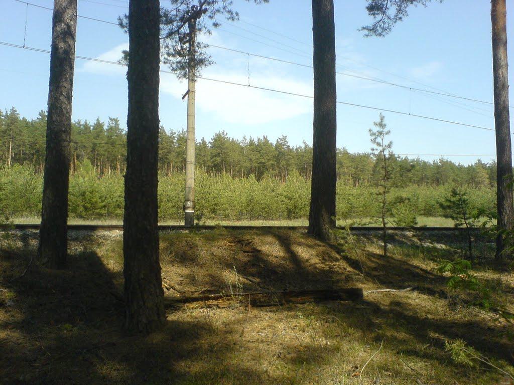 Пролетарське з panoramio.com - Пролетарське