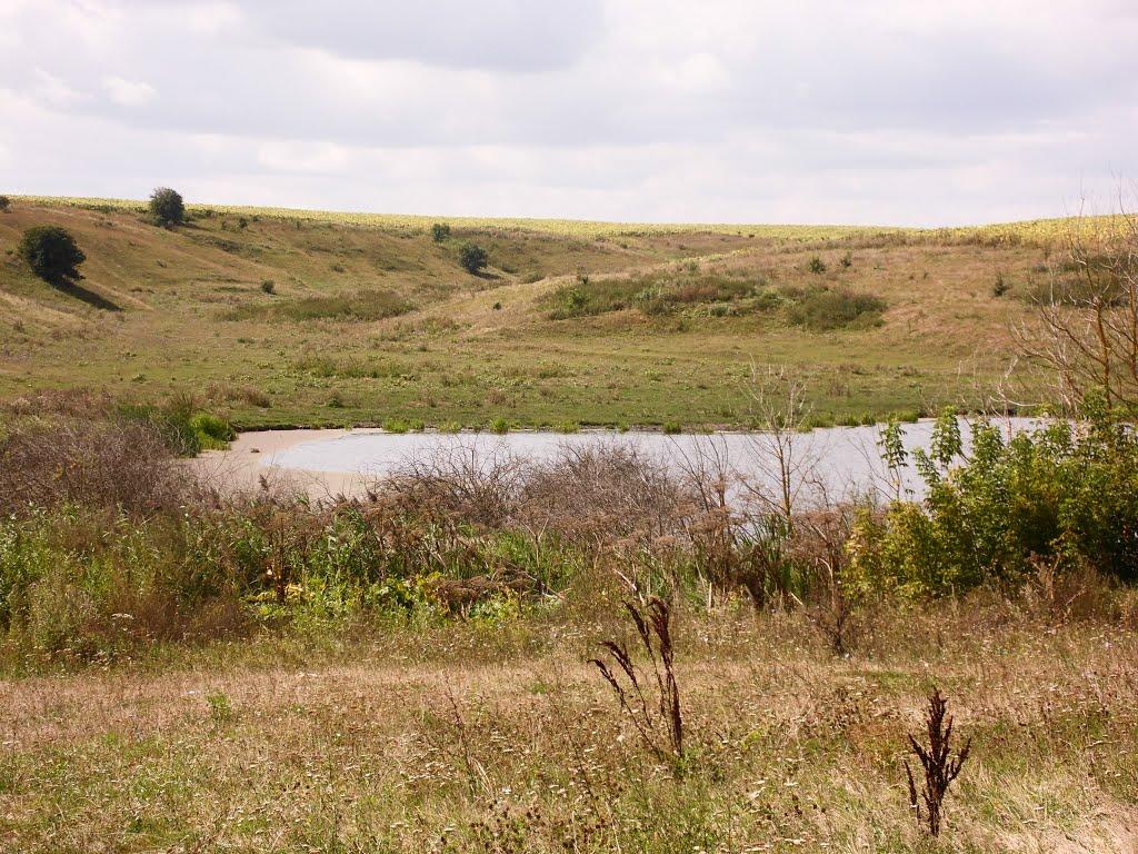 Рогачі з panoramio.com