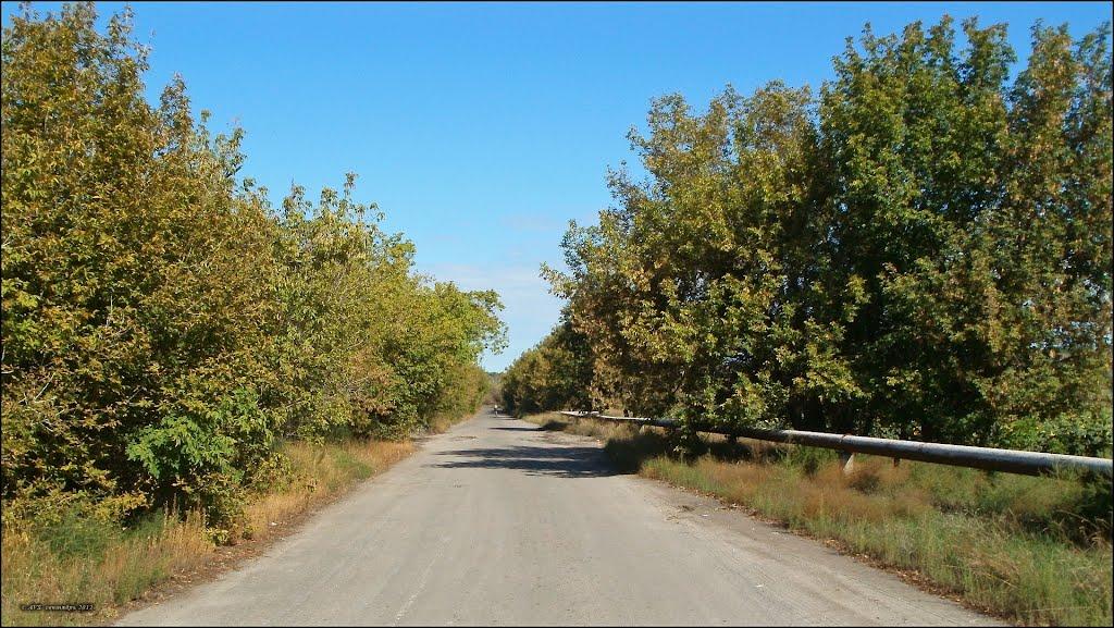 Сіверськ з panoramio.com - Северск