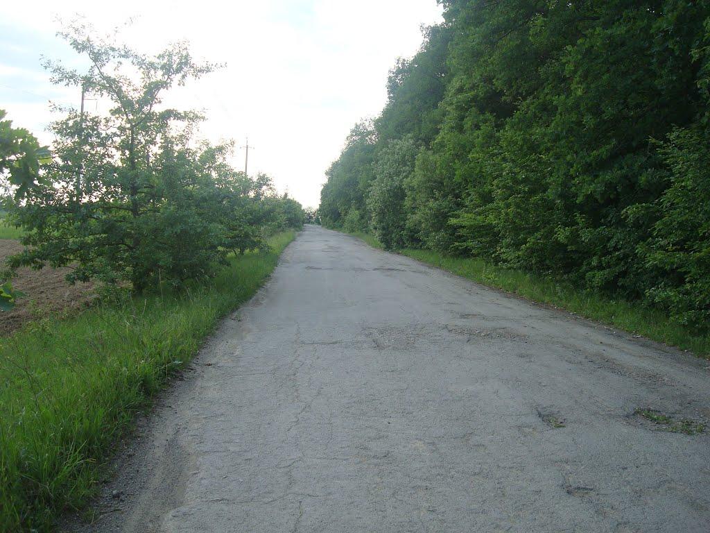 Ставчани з panoramio.com - Ставчаны