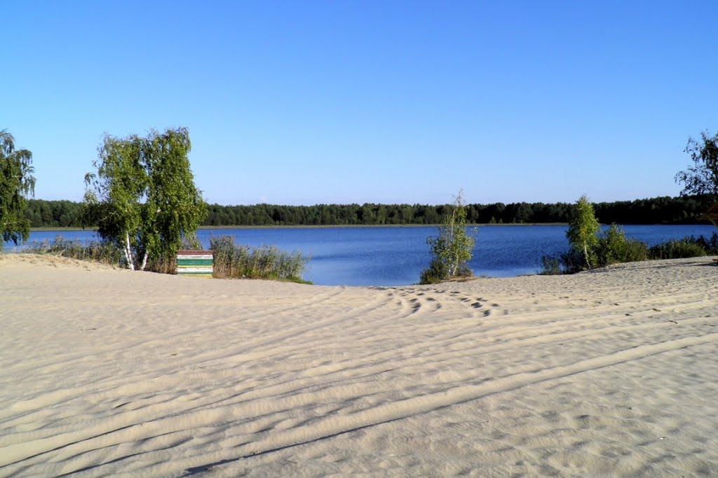 Млин з panoramio.com - Млын