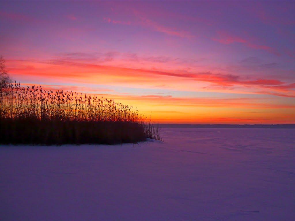 Липове з panoramio.com - Липове