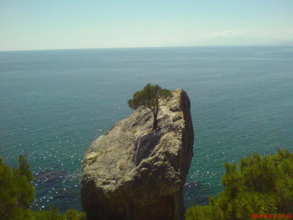 Долина з panoramio.com - Долина