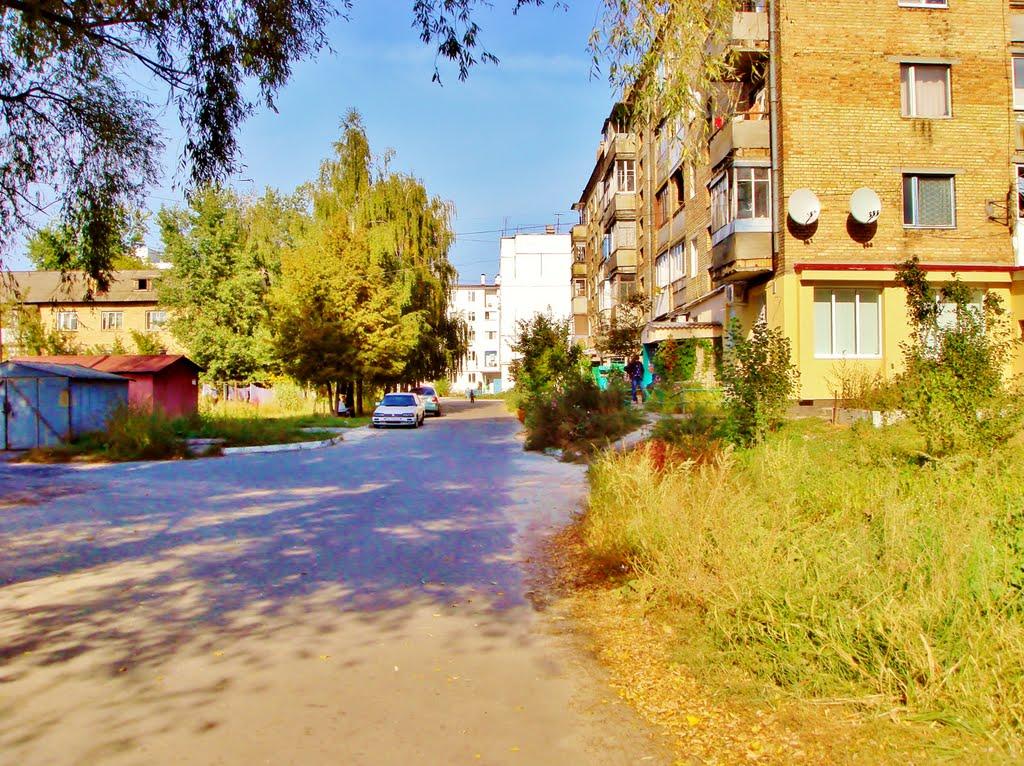 Димер з panoramio.com - Dymer