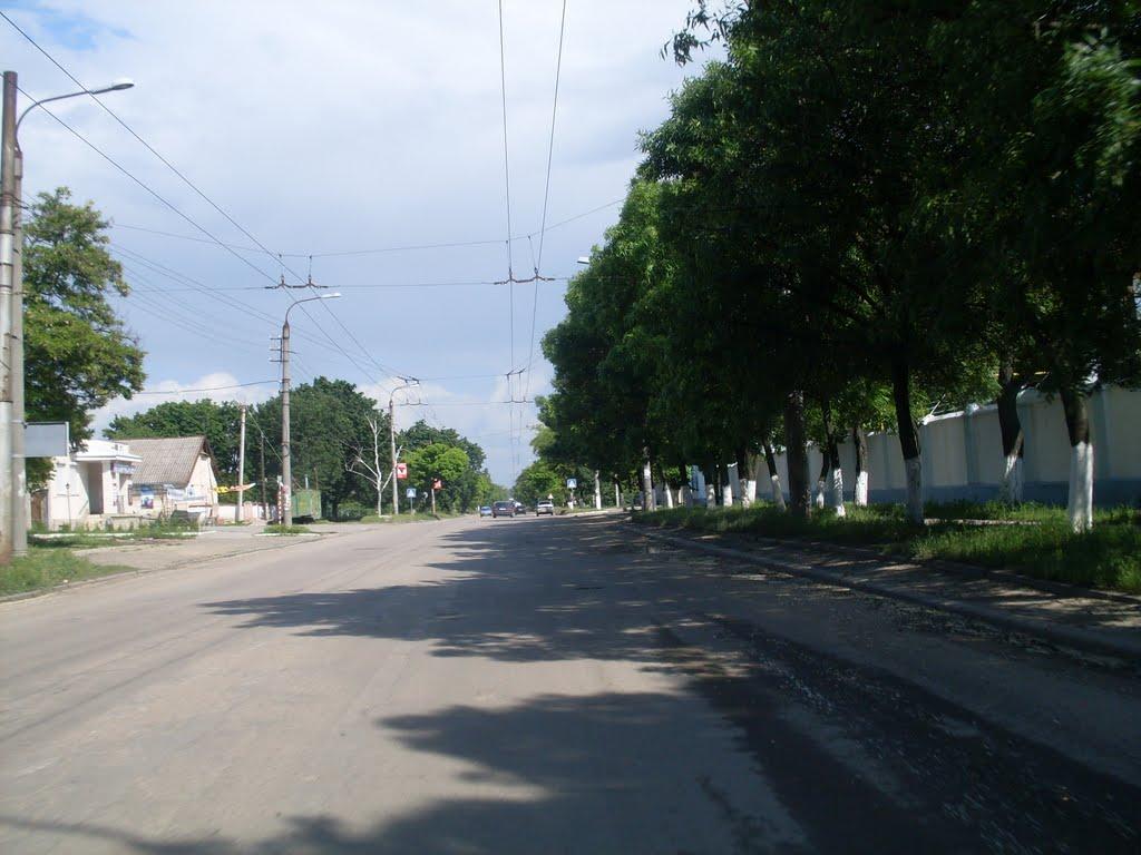 Слов'яносербка з panoramio.com - Слов'яносербка