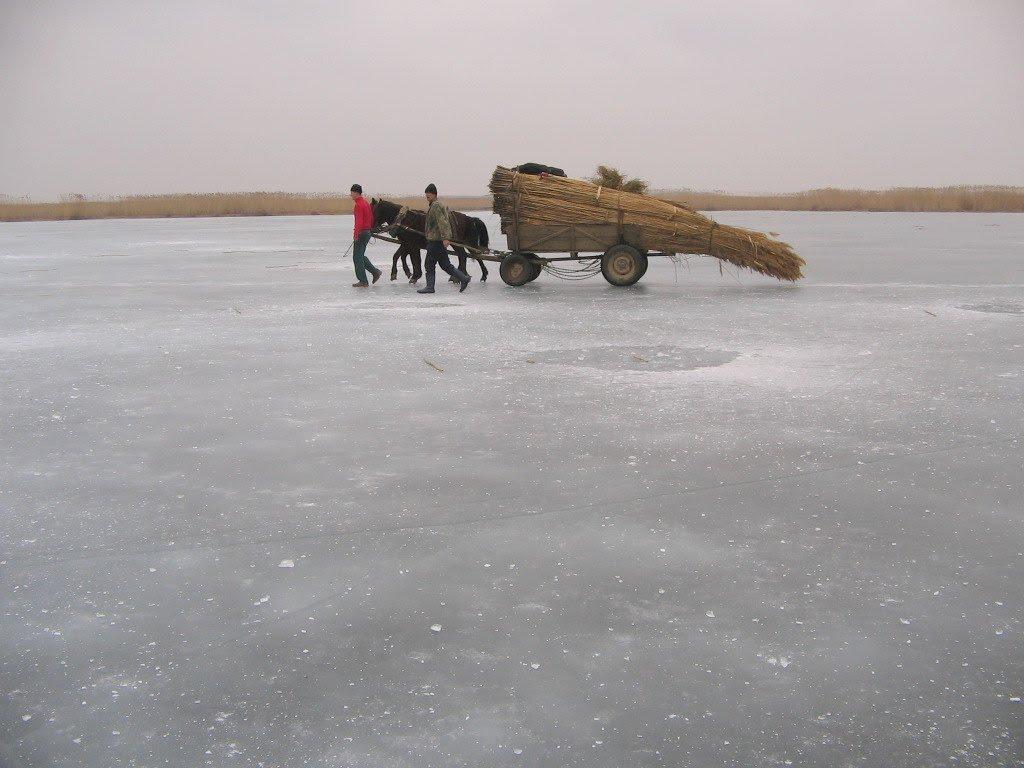 Орлівка з panoramio.com - Orlivka