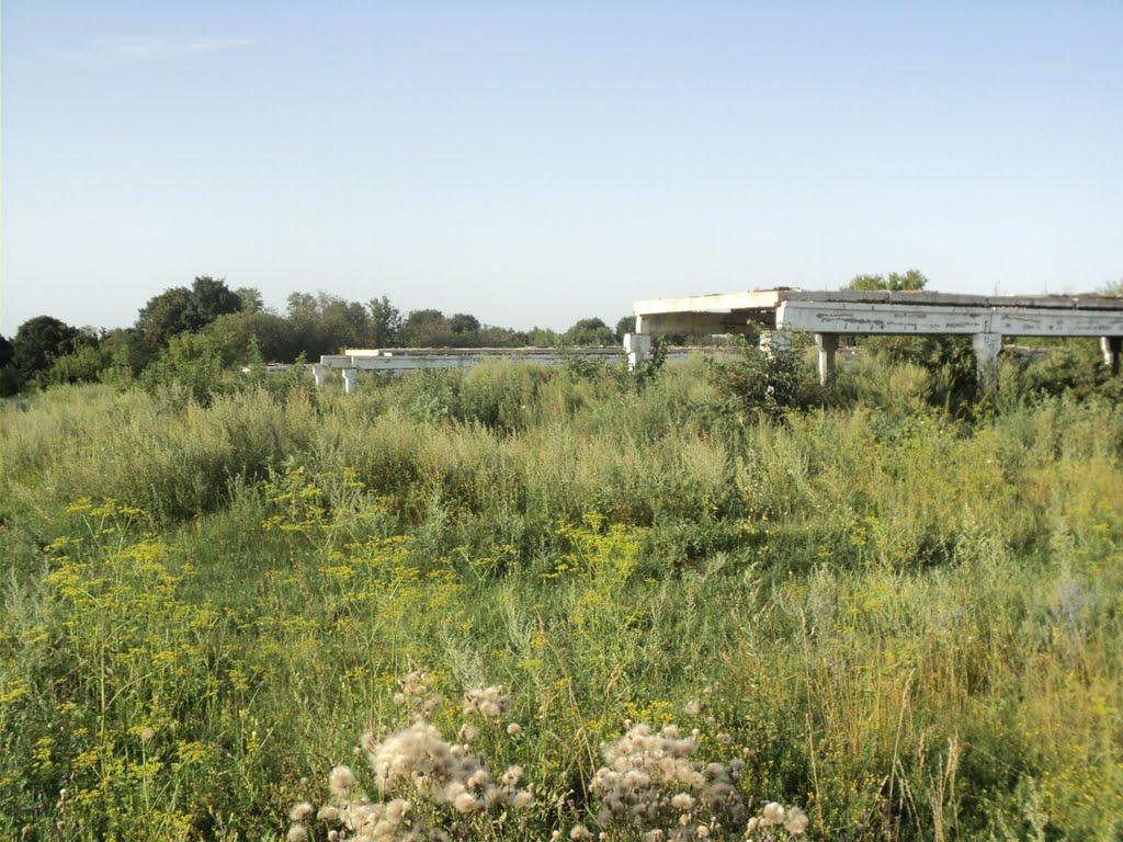 Осоївка з panoramio.com - Осоївка