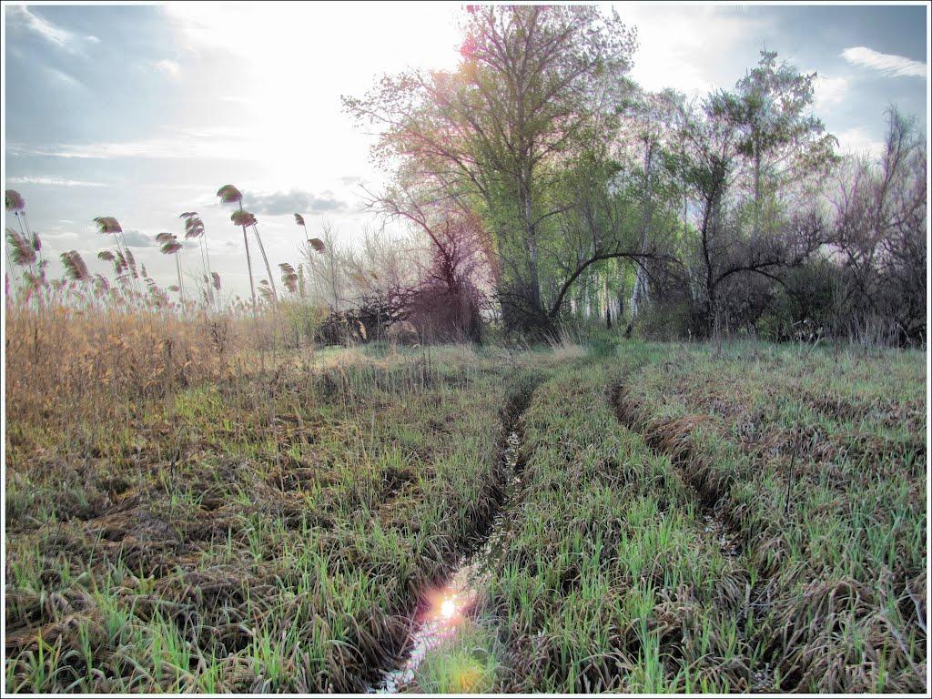 Булгаківка з panoramio.com - Булгаківка
