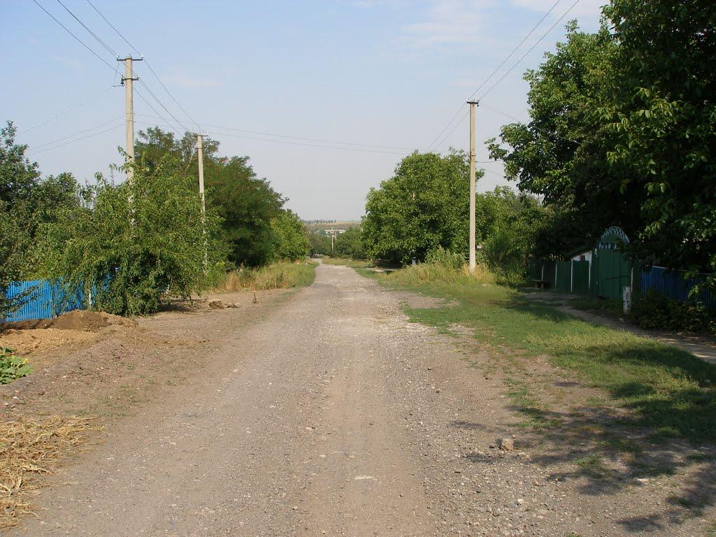 Горбачево-Михайлівка з panoramio.com - Gorbachevo-Mykhaylivka