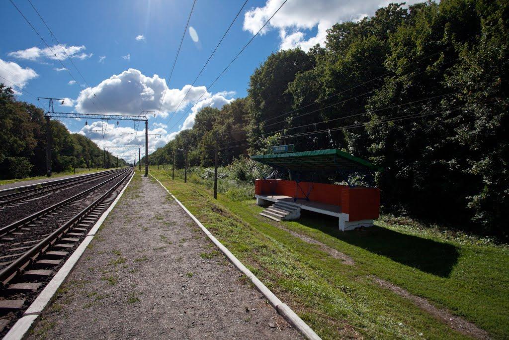 Великі Лісівці з panoramio.com - Великі Лісівці