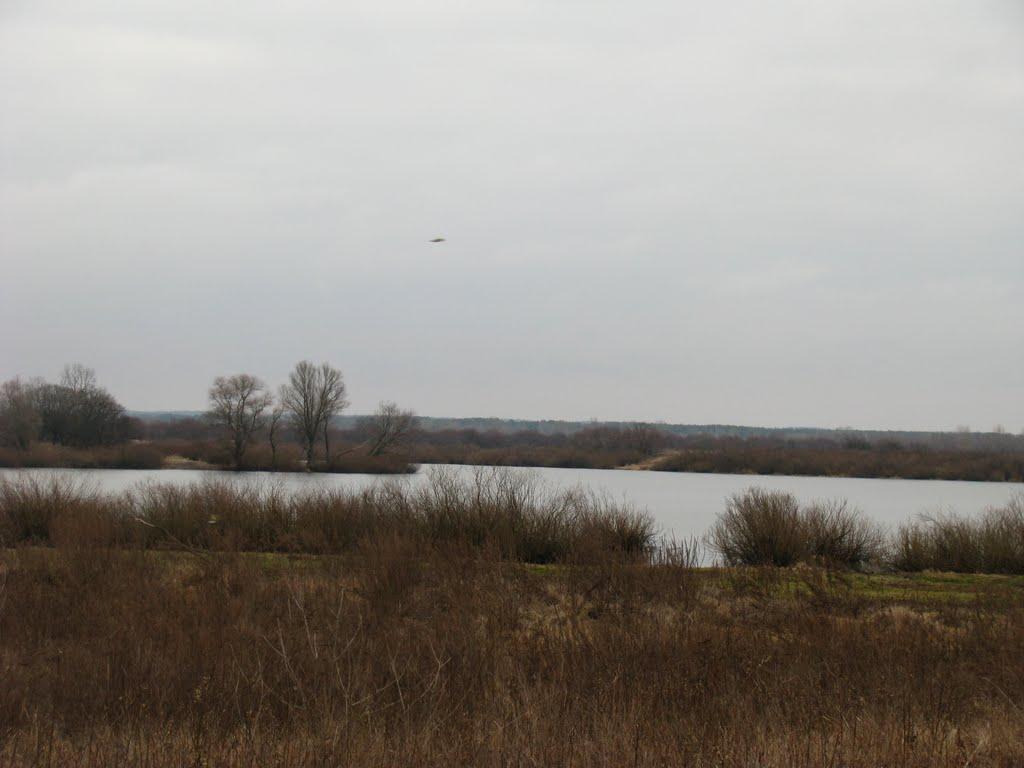 Миси з panoramio.com - Миси