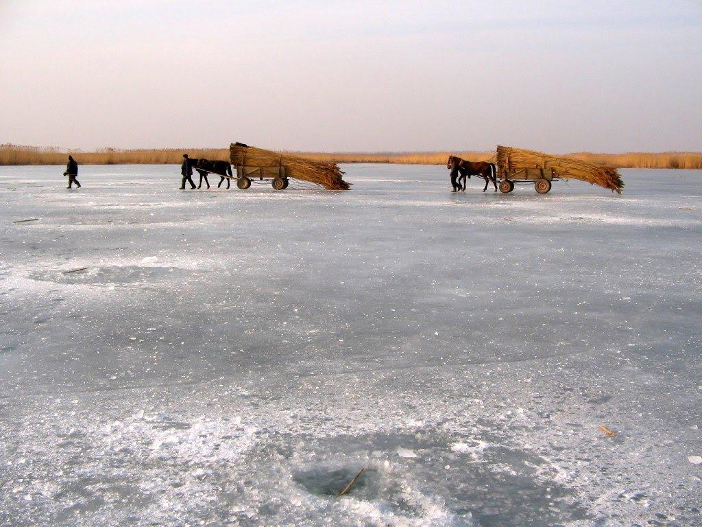 Орлівка з panoramio.com - Orlivka