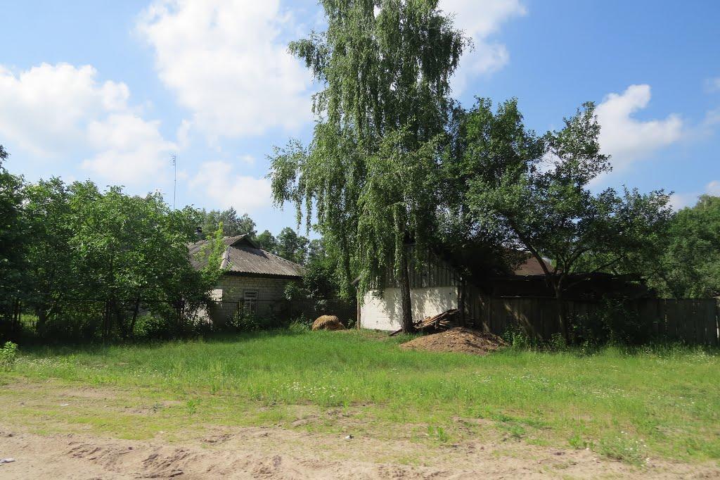 Софіївка з panoramio.com - Софиевка