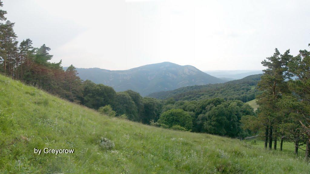 Розовий з panoramio.com (ч.2) - Розовий