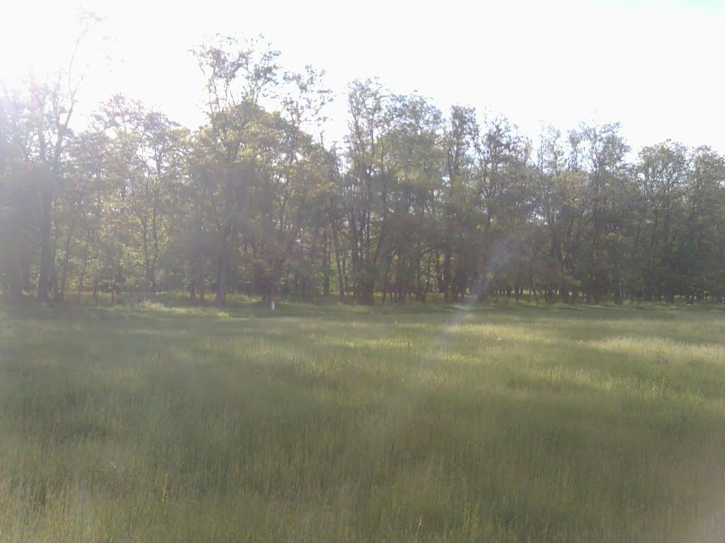 Шостка з panoramio.com - Шостка