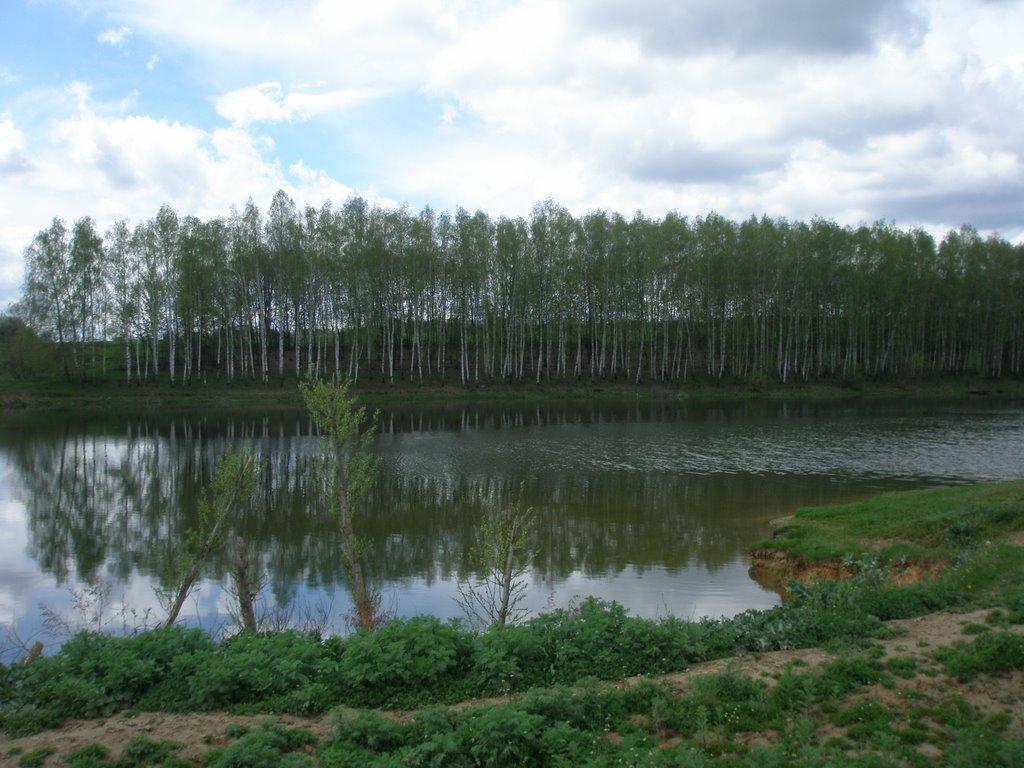 Кам'янка з panoramio.com - Kamyanka