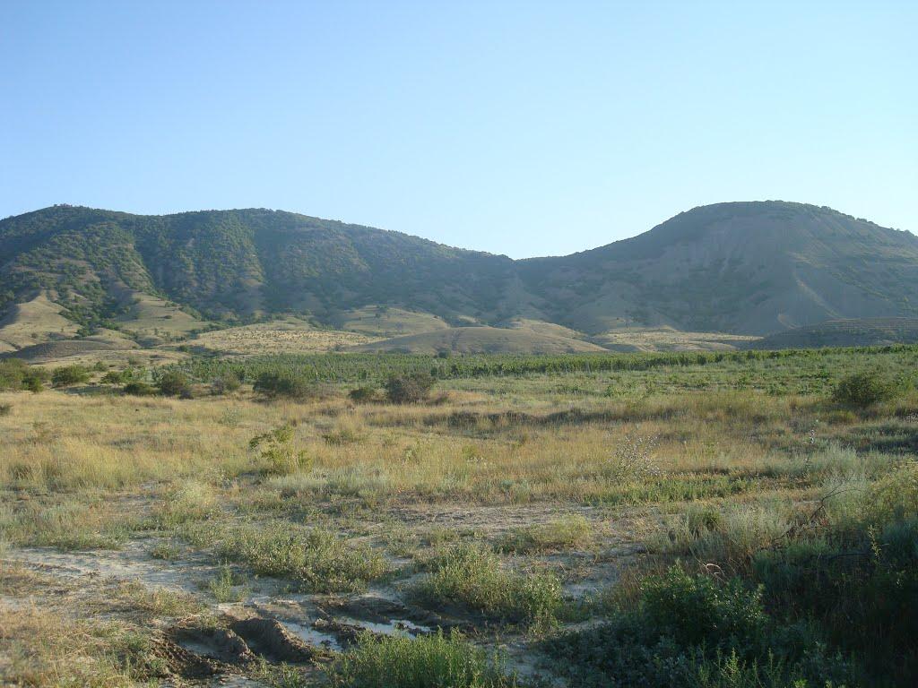 Багатівка з panoramio.com - Богатовка