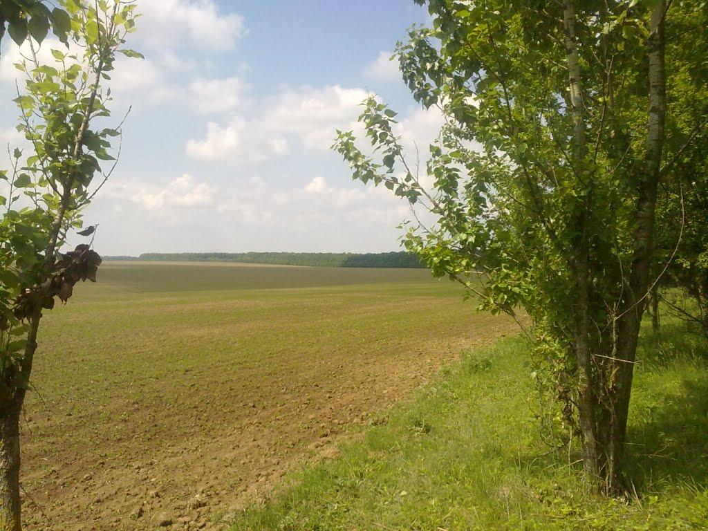 Журавлівка з panoramio.com - Журавлівка