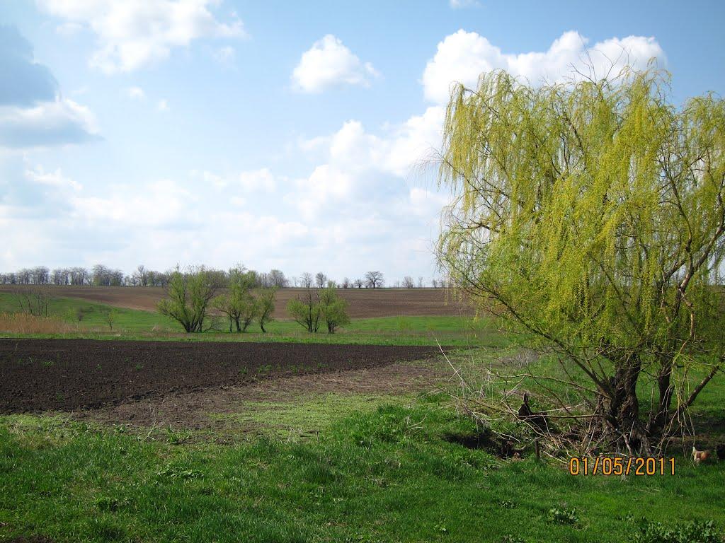 Богданівка з panoramio.com - Богданівка