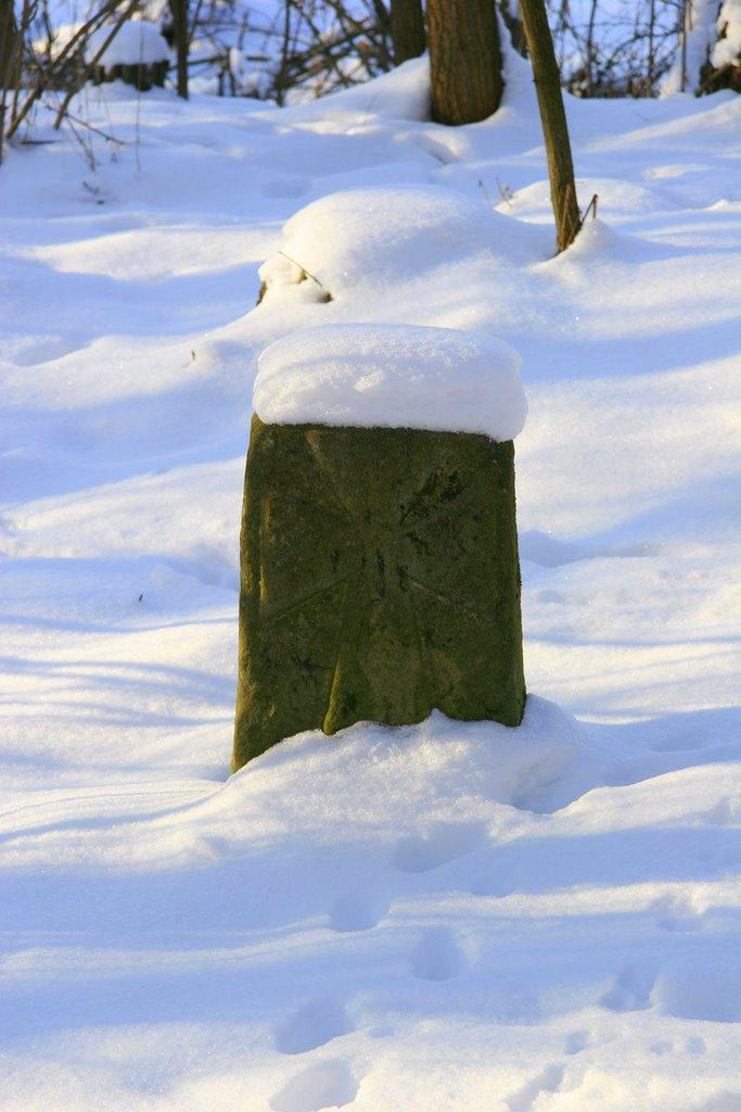 Малий Букрин з panoramio.com - Малий Букрин