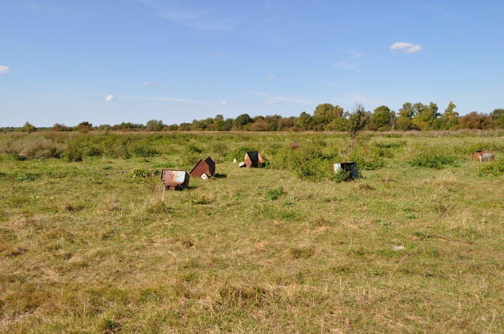 Миси з panoramio.com - Миси