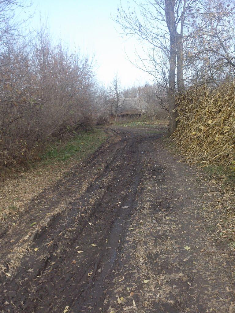 Сальниця з panoramio.com - Сальниця