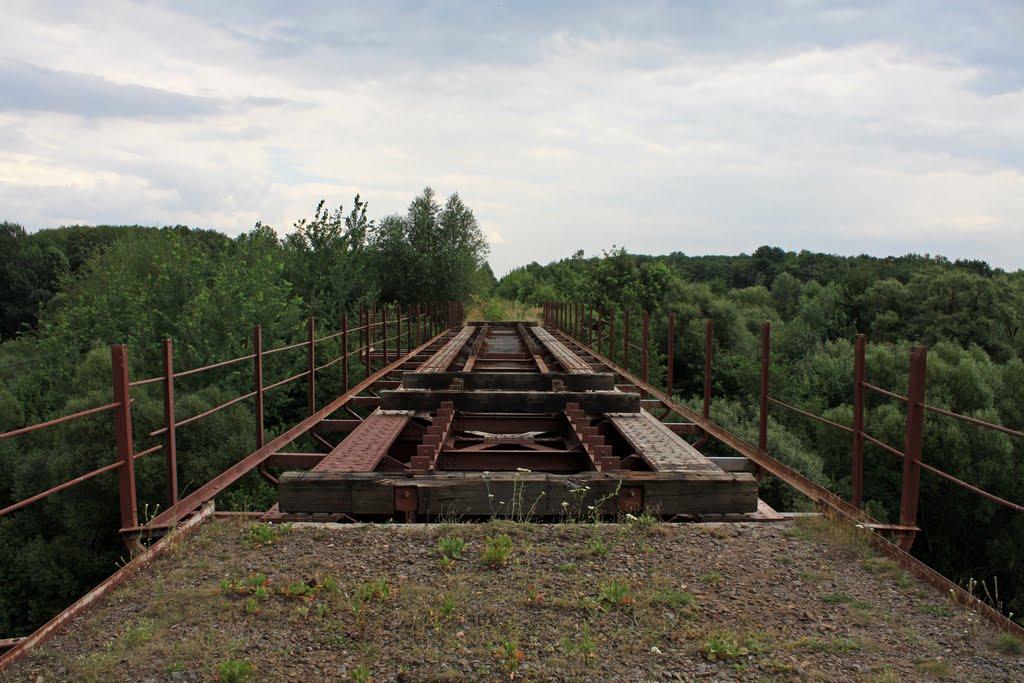 Польова Лисіївка з panoramio.com - Польова Лисіївка