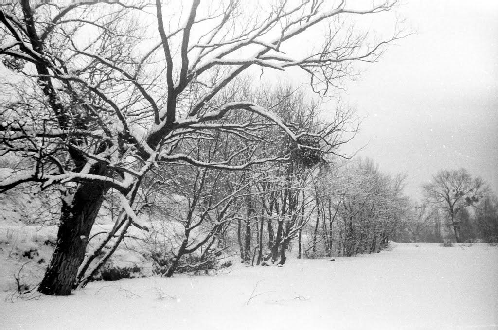 Григорівка з panoramio.com - Григорівка