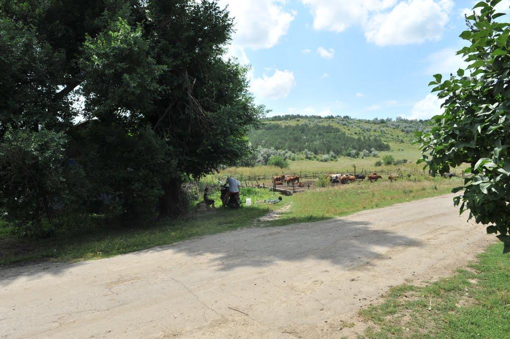 Бецилове з panoramio.com - Бецилово