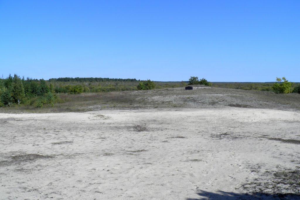 Млин з panoramio.com - Mlyn