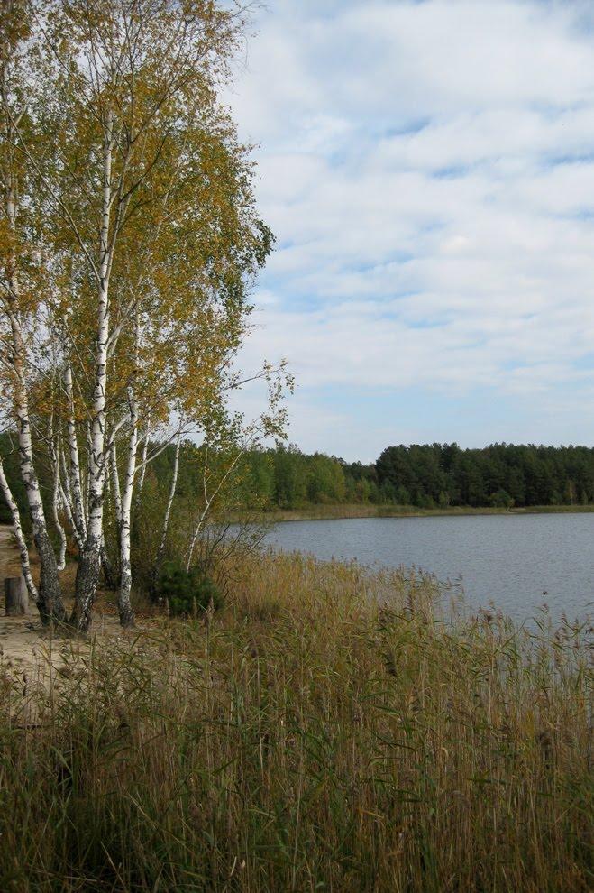 Млин з panoramio.com - Млын