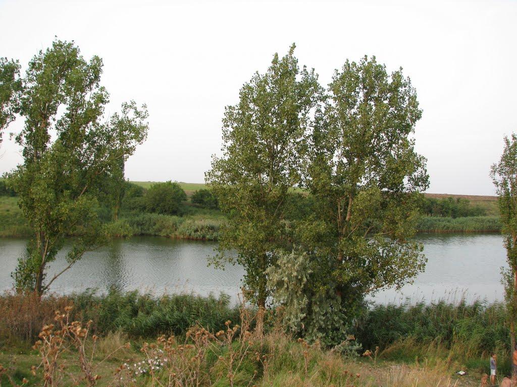 Олександрівка з panoramio.com - Александровка