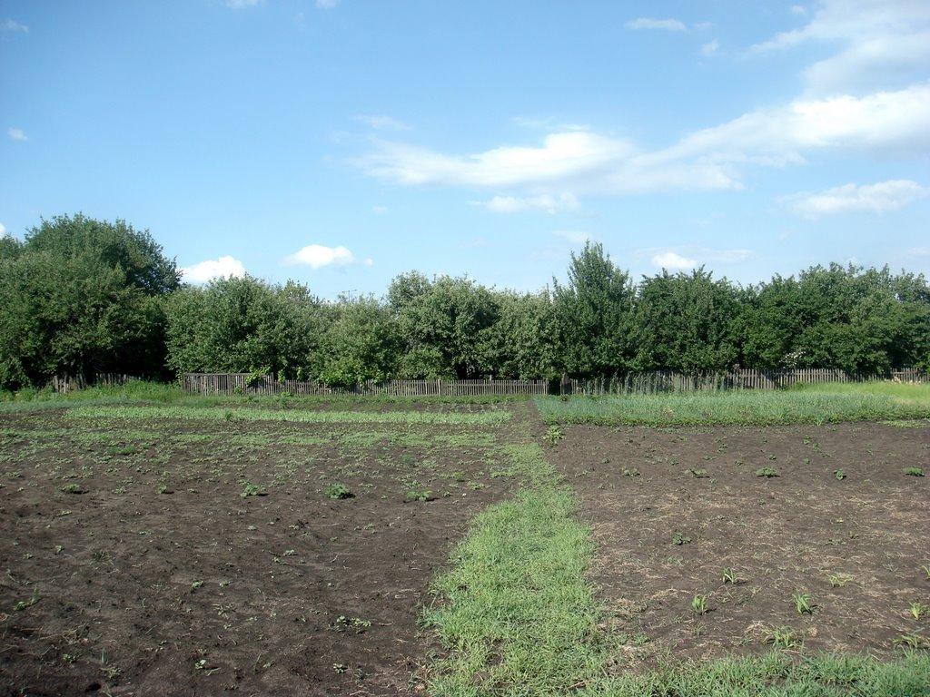 Степний Яр з panoramio.com - Степной Яр