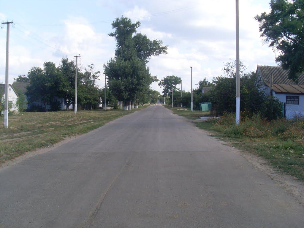 Дмитрівка з panoramio.com - Dmytrivka